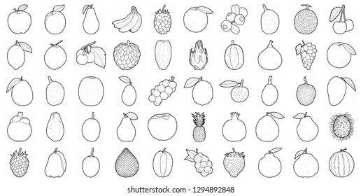Set Of Fruit Vector Illustration Hand Drawn Cartoon Art