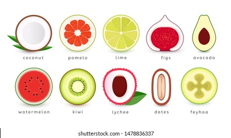 Set of fruit, vegetable and berries closeup icons. Exotic tropical eat, fresh summer food packaging logo design. Cosmetic oil ingredients, isolated vector illustration on white background.