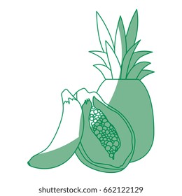 Set of fruits