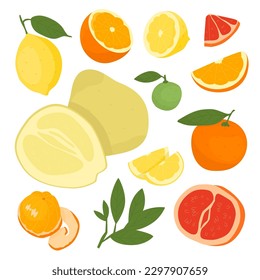 Set with fruits after harvest. Farm products, organic farming. Different types of fruits. Orange, pomelo, grapefruit, lemon, lime, tangerine. Vector illustration for farmers and food markets. 
