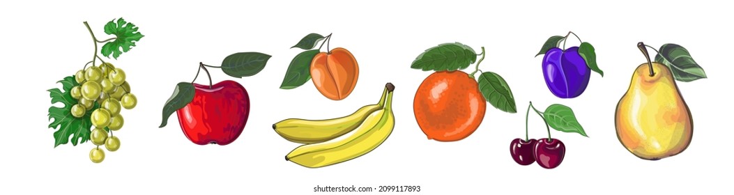 Set of fruits - apple, pear, plum, cherry, grape, orange, banana and apricot in cartoon style. Stock vector illustration isolated on a white background.