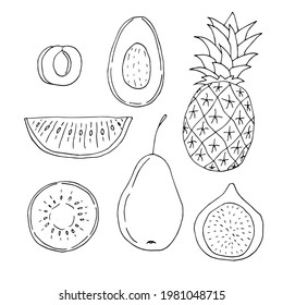 Set of fruits, apricot, avocado, pineapple, watermelon, kiwi, pear, fig, vector illustration, hand drawn doodle