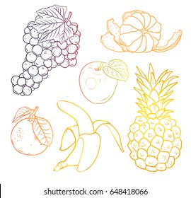 Set of fruits: banana, pineapple, grapes, apple, tangerine, open tangerine. Outlines. Vector illustration