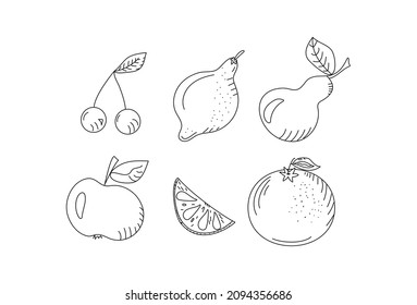 Set of fruits and berries in doodle style. Vector drawing, sketch by black outline. Illustration on isolated background.