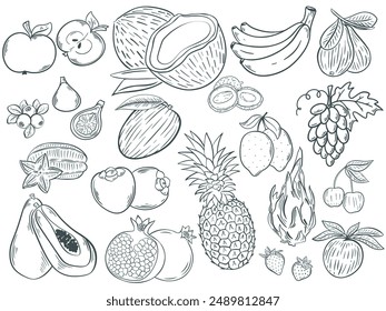 Set fruits and berries hand engraved vector illustration. Ink sketch exotic fresh fruit. Collection organic healthy food black line on white background