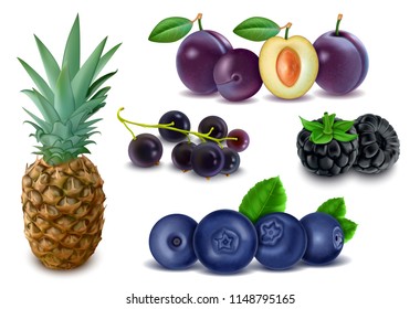 Set of Fruits and Berries, Realistic Pineapple, Purple Plums, Blackcurrant, Blackberry, Blueberry, Isolated on White Background, Hand Drawn 3D Vector Illustration