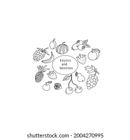 A set of fruits and berries in a vector