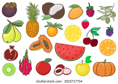 Set of fruits and berries vector illustration. A large set of summer exotic fruits, juicy and ripe berries. Organic healthy food.