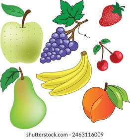 set of fruits and berries vector illustration, apple, grape, pear, banana, peach, cherry, strawberry