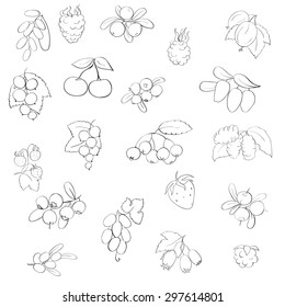 set fruits and berries, vector,strawberry, raspberry, currant, barberry, blueberries, cranberries, honeysuckle, mulberry, chokeberry, grapes, strawberries, hawthorn, blackberries,cranberries