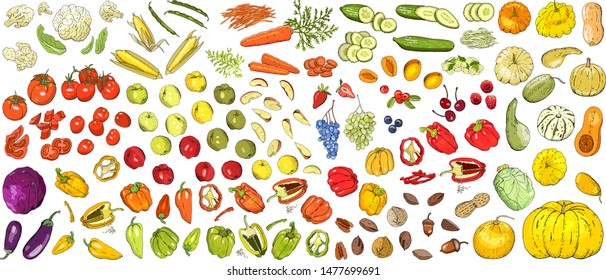 Set of fruits, berries and vegetables.  Vector collection of vegetables. Hand drawn fresh food design elements isolated on white background. Collection farm product for restaurant menu, market label.
