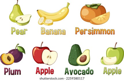 Set of fruits cartoon illustration