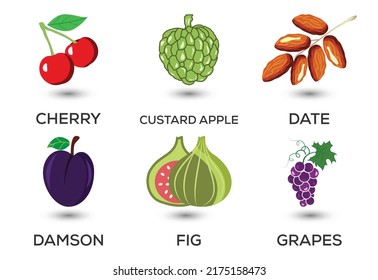 Set of fruits. Different colorful fruits. Fresh food, healthy eating concept. Vector illustration