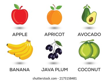Set of fruits. Different colorful fruits. Fresh food, healthy eating concept. Vector illustration