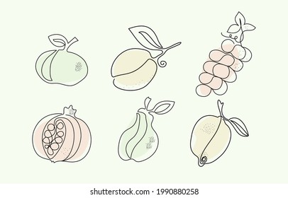 A set of fruits drawn by one line. Black outline and colored spots. Line art style. Vector graphics. Isolated background.