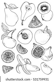 Set of fruits drawn a line on a white background. Vector sketch. Sketch line. Apple, pear, peach, lemon, orange, lime, Tangerine, kiwi, figs, banana