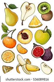 Set of fruits drawn a line on a white background. Vector sketch. Sketch line. Apple, pear, peach, lemon, orange, lime, Tangerine, kiwi, figs, banana