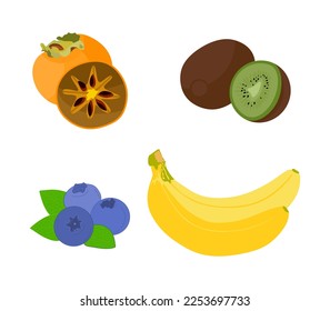 Set of fruits in flat style. Collection of fruits Persimmon, Kiwi, Banana, Blueberry. Fresh fruits illustration. vector illustration