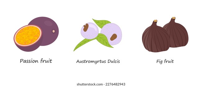 Set of fruits in flat style illustration. Cartoon fruits vector collection Passion fruit, Fig fruit and Austromyrtus Dulcis isolated on white background. Vector illustration