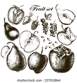 Set of fruits. Freehand drawing. Vector illustration