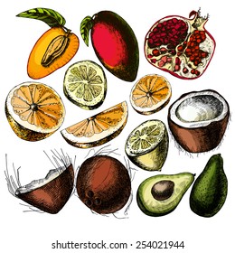 Set of fruits. Freehand drawing. Vector illustration