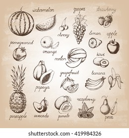 Set of fruits. Hand drawn elements. Vector illustration.