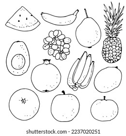 Conjunto de frutos, ilustración vectorial dibujada a mano aislada en fondo blanco