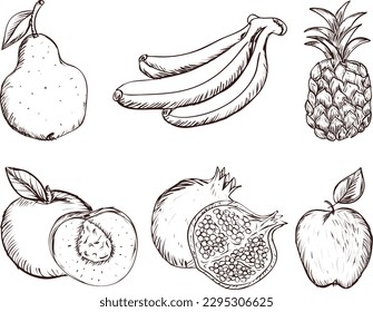 set of fruits. Set of hand drawn fruits. Vector illustration isolated on white background.