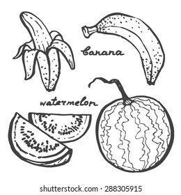 Set of fruits. Hand drawn vector illustration.