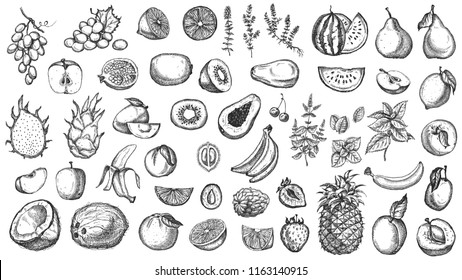 Hand Drawn Fruit and Vegetable Brushes Pack - Free Photoshop