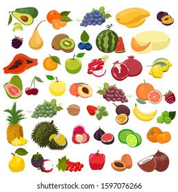 Set of fruits isolated on a white background. Vector graphics.