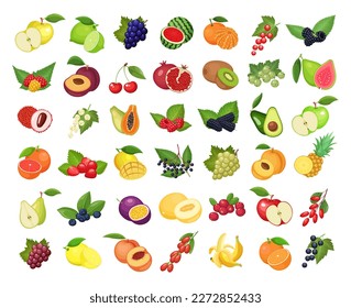 Set of fruits isolated on white background