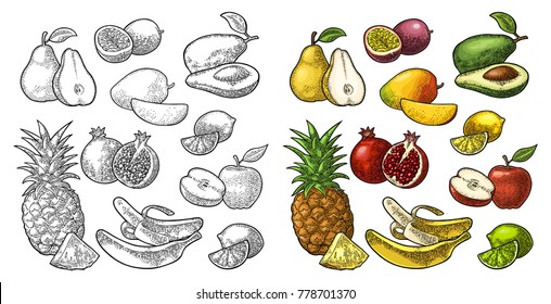 Set fruits. Isolated on the white background. Pineapple, lime, banana, pomegranate, maracuya, mango, avocado. Vector color hand drawn vintage engraving illustration for poster, label and menu