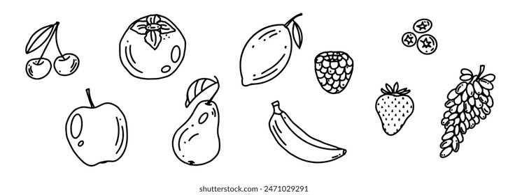 Set of fruits, juicy summer, hand drawn doodle, line drawing, vector illustration