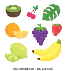 set of fruits and leaf tropical vector illustration design