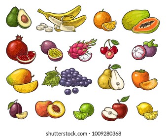 Set fruits. Mango, lime, banana, maracuya, avocado, dragon, lemon, orange, garnet, peach, apple, pear, grape, plum, passion, mangosteen, papay, persimmon, cherry. Vector color  vintage engraving