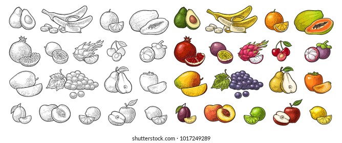 Set fruits. Mango, lime, banana, maracuya, avocado, dragon, lemon, orange, garnet, peach, apple, pear, grape, plum, passion, mangosteen, papay, persimmon, cherry. Vector color vintage engraving