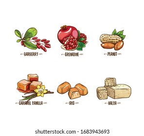 Set of fruits on a white background. Icons