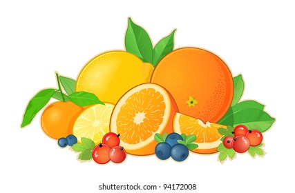 Set of fruits. Oranges, lemons and various berries on a white background. Vector Illustration