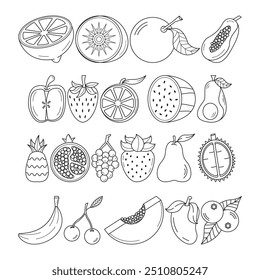 set of fruits outline illustration collection