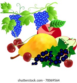 set of fruits. Pear an apple a cherry a currant grapes