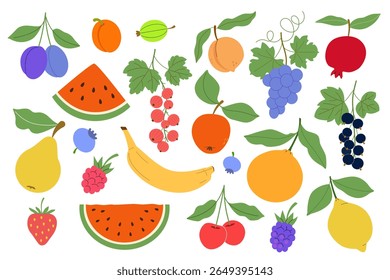 Set of fruits: plum, apricot, gooseberry, peach, grape, pomegranate, watermelon, red, black currant, apple, pear, blueberry, raspberry, banana, orange, strawberry, cherry, blackberry, lemon. Vector.