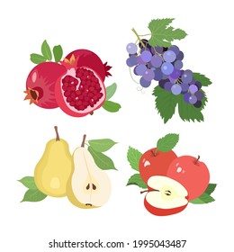 Set of fruits. Pomegranates, grapes, pears and apples on a white background