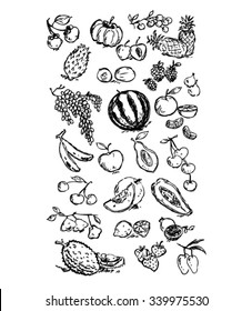 Set of  fruits related object in doodle style isolated on white background