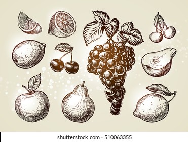 Set fruits sketch. Hand-drawn elements such as grape, lemon, cherry, pear, apple. Vector illustration