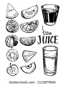 Set of fruits sketches. Glasses for juice. Hand drawn illustration converted to vector