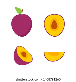 Set of fruits. Summer fruit collection. Fruits plum. Vegetarian and ecology food. Vector illustration.