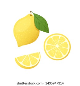 Set of fruits with their slices. Vector illustration with textured lemon whole and peaces isolated on white