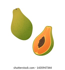 Set of fruits with their slices. Vector illustration with textured papaya whole and peaces isolated on white