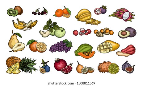 A set of fruits. Tropical fruits. Illustration on a white background. Vintage style.